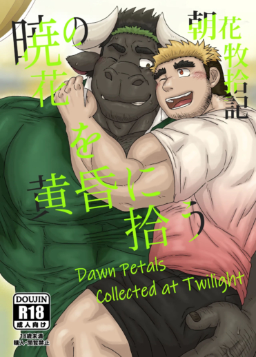 Pétalas da Manhã Colhidas ao Entardecer