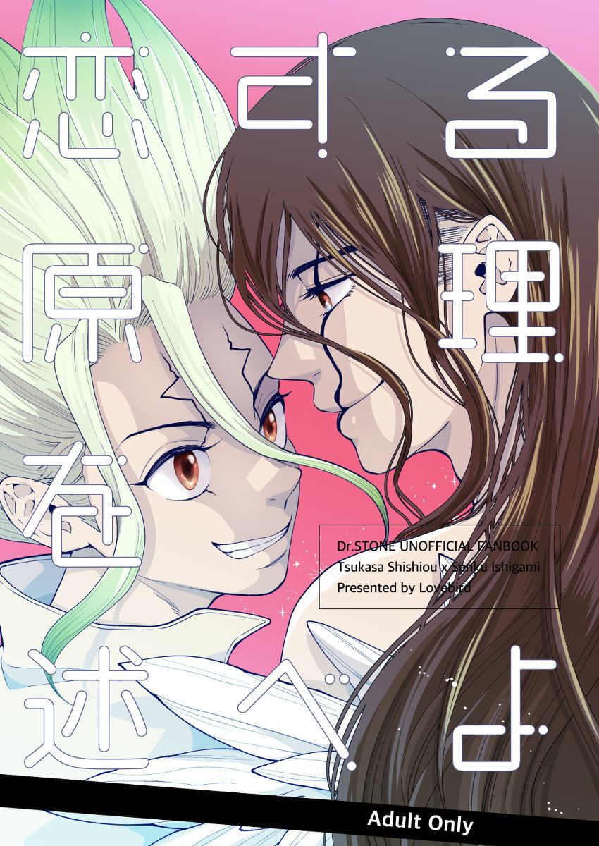 Conte-me o Princípio De Se Apaixonar